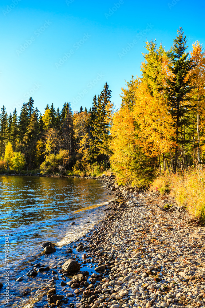 Wall mural A beautiful lake with a rocky shoreline and trees in the background