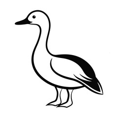  vector bird art free download 