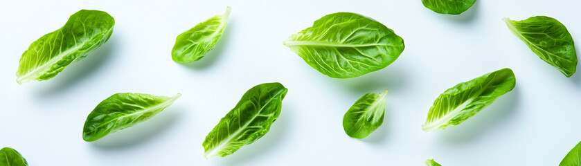 Fototapeta premium Fresh green leaves scattered on a white background.