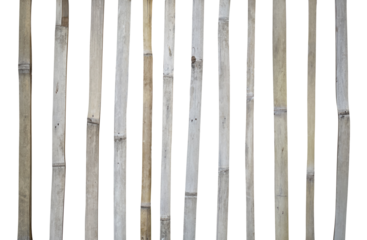 Bamboo fence isolated on black