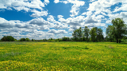 Summer landscape with blue sky in soft white clouds over green field of grass. Beautiful natural...