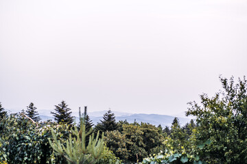 A tranquil rural landscape featuring dense greenery and layers of rolling hills fading into the distance beneath a peaceful, cloudy sky.