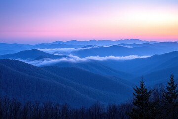Obraz premium Blue Ridge Mountains sunrise with fog in valleys, colorful sky, trees in foreground