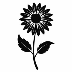 sunflower isolated on white