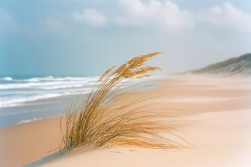 Poster Beach grass blowing in wind on sandy shore with ocean waves