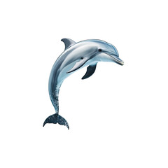 Fototapeta premium Leaping Dolphin Ocean Water Marine Mammal Aquatic Graceful Jump