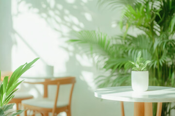Fototapeta premium Serene Indoor Plant Decor in Sunlit Minimalist Cafe Setting