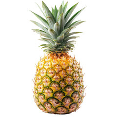 ripe pineapple with a textured yellow-brown exterior and a lush green crown of leaves on top the pineapple is placed against a plain white background. highlighting its vibrant colors and unique shape.