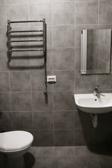 Modern grey bathroom in luxury house plant