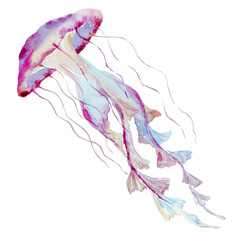 Fototapeta premium Ethereal Watercolor Illustration of a Jellyfish Showcasing Oceanic Beauty and Artistic Concepts