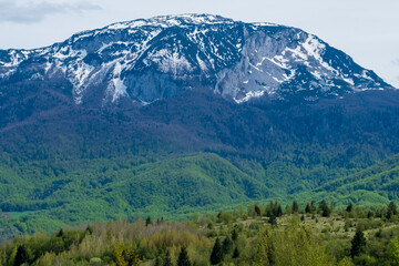 Obraz premium Majestic snow capped mountain overlooking lush green forests