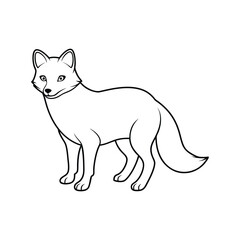 arctic fox line art.eps