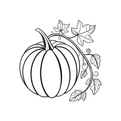 pumpkin outline vector illustration