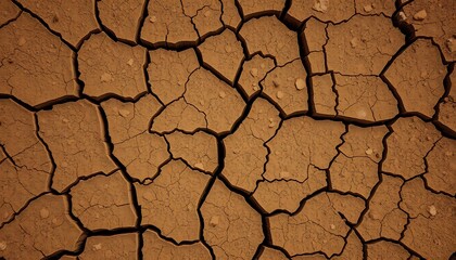Dry Cracked Earth Surface Detailed Texture Brown Hues