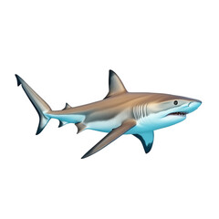 Obraz premium a stylized illustration of a shark swimming in a clear blue ocean the shark features a streamlined body. sharp fins. and a distinct coloration. showcasing its natural beauty and predatory nature the i