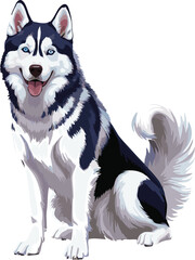siberian husky dog vector illustration white background