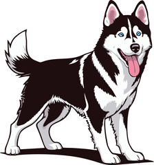 siberian husky dog vector illustration white background
