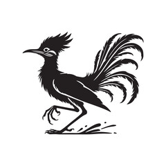 Roadrunner  bird silhouette vector art black color design and solid white background