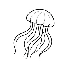 jellyfish line art.eps