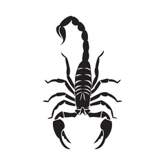 Scorpion silhouette vector art black color design and solid white background
