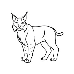 lynx line art.eps
