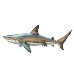 Naklejka premium a stylized illustration of a shark. showcasing its streamlined body. prominent dorsal fin. and sharp teeth. emphasizing its role as a powerful predator in marine ecosystems the artwork highlights the