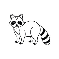 racoon vector.eps