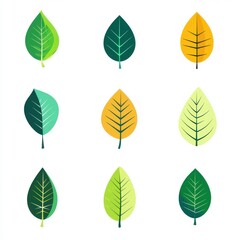 Fototapeta premium Colorful variety of leaves showcasing different shapes and shades of green and yellow.