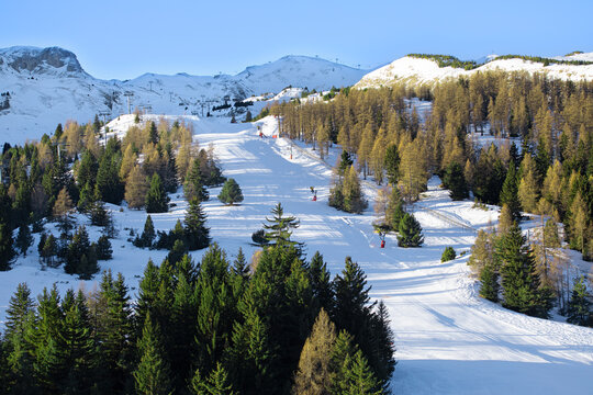 Piste de ski au milieu d'une for&ecirc;t de sapins dans une station de sport d'hiver le matin avant l'ouverture des remont&eacute;es.