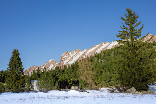 Plaine enneig&eacute;e bord&eacute;e de sapins et de m&eacute;l&egrave;zes au pied d'une montagne rocheuse presque sans neige au printemps.