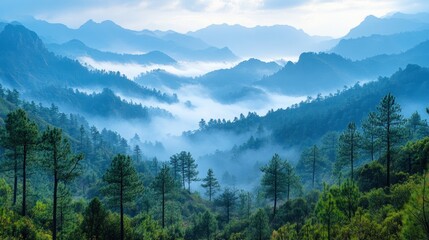 Fototapeta premium Fanciful scenery of an early morning when the sun rises