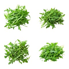 arugula isolated on white background, antioxidant mineral fiber vitamin