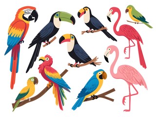 Naklejka premium Vibrant Tropical Birds: Flamingos, Toucans, and Macaw.