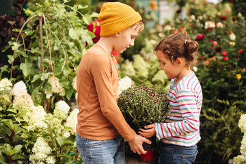 Kid teenager boy and girl buying flowers in a pot. Choosing plants in a local garden center.