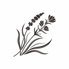 black and white flowers