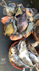 food fish traditional