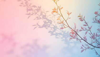 Delicate Branch Casts Shadow Against Pastel Background