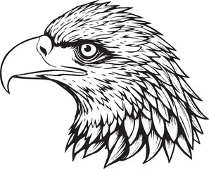 An illustration vector of a hawk 