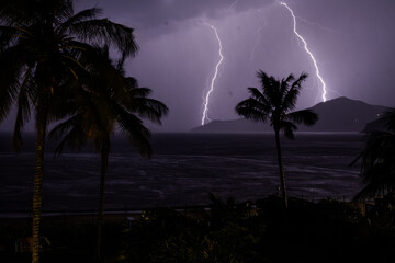 palm tree at night during thunderstorm storm rain at the beach