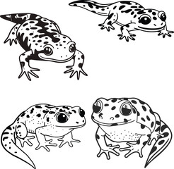 Newt bundle line art and illustrator eps