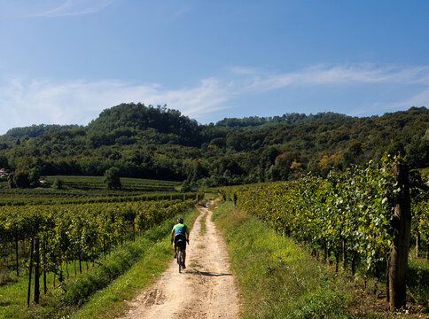 Bicycle Touring in Wine Country