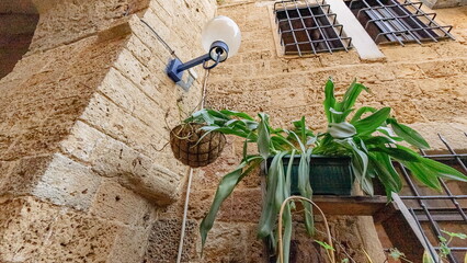 Wall Historic Closeup Natural Rustic Beige Green Vertical Photography