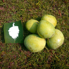 Delicious raw mango fruit