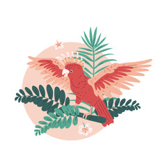 Illustration with bright red cockatoo parrot on a round pink background with tropical leaves. © sabelskaya