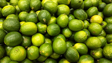 Fresh Limes at a Traditional Brazilian Farmers Market – São Paulo Scene
