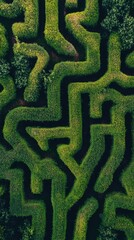 Explore the intricate patterns of a lush green maze during a bright, sunny day at a botanical garden in mid-summer