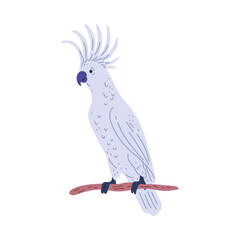 Vector illustration of a cockatoo parrot sitting on a branch.