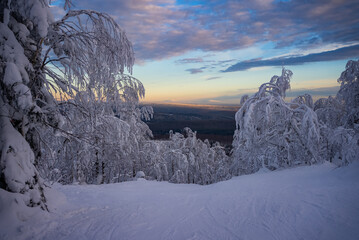 Snow-covered trees lining a ski slope create a stunning winter wonderland at sunset, offering a...