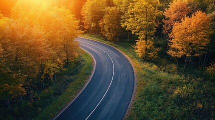 Fototapeta premium Winding asphalt road through autumn forest with vibrant foliage illuminated by warm sunlight naturelle scene aerial view