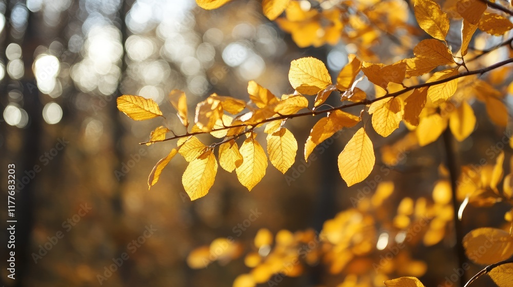 Poster golden autumn leaves with soft bokeh background creating a warm and tranquil seasonal atmosphere in 